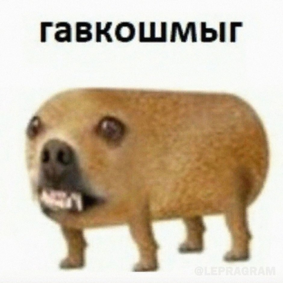 Собака улыбается