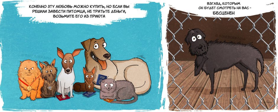 Крутые собаки хаски