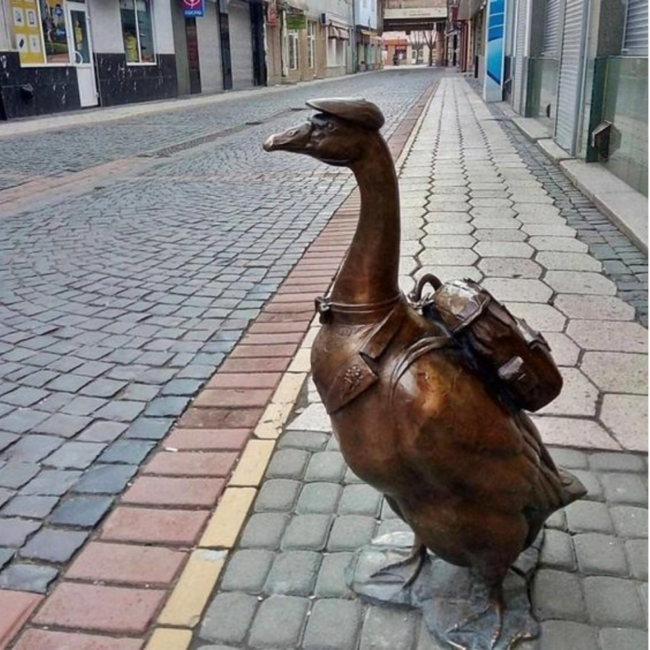 Зря зря