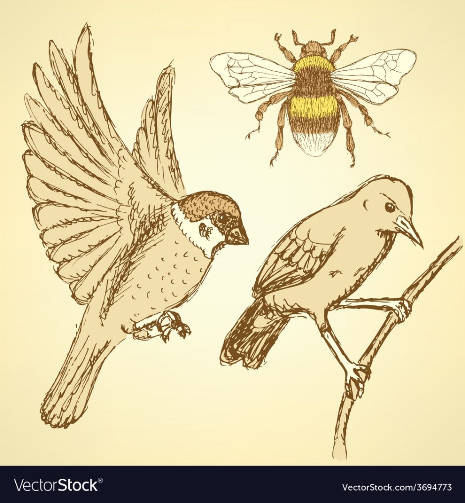 Воробьины пчелы