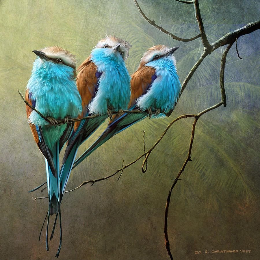 Необычные картины птиц