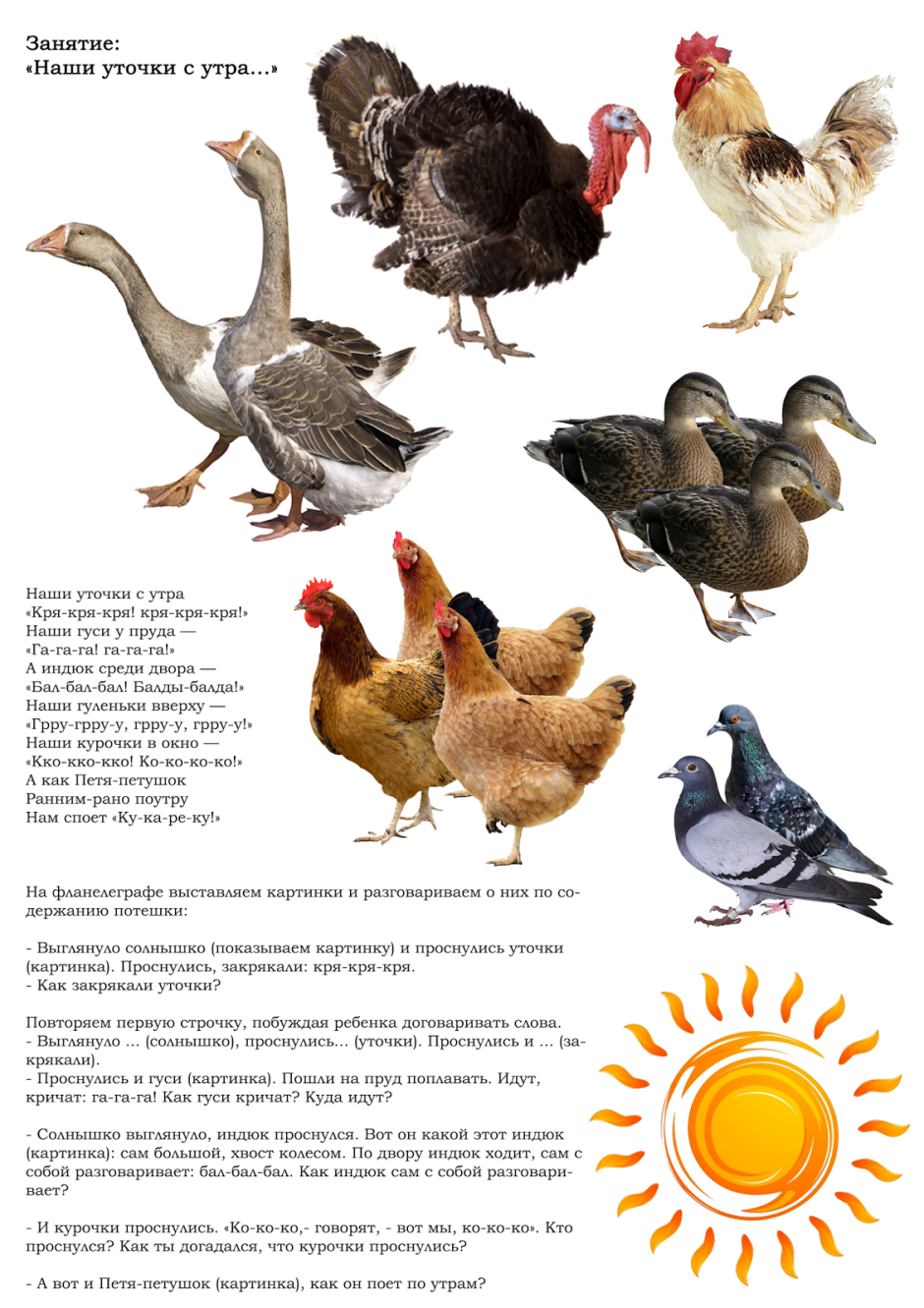 Домашние птицы