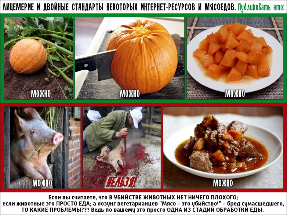 Андский Кондор размах крыльев