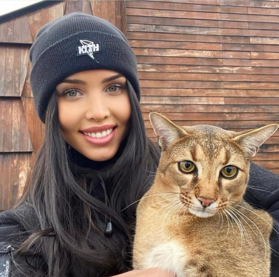 Камышовый кот каракал