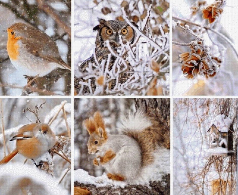 Снегири в лесу