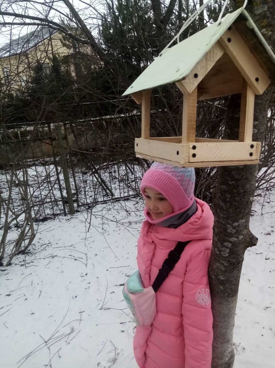 Зимующие птицы средней полосы России и названия