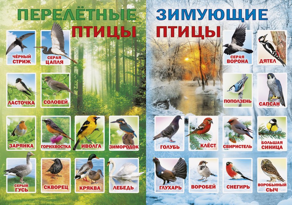 Лось в Свердловской области