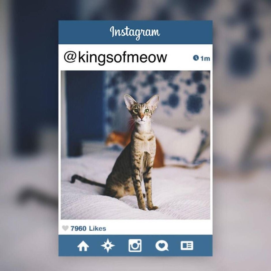 Самая опасная кошка в мире самая