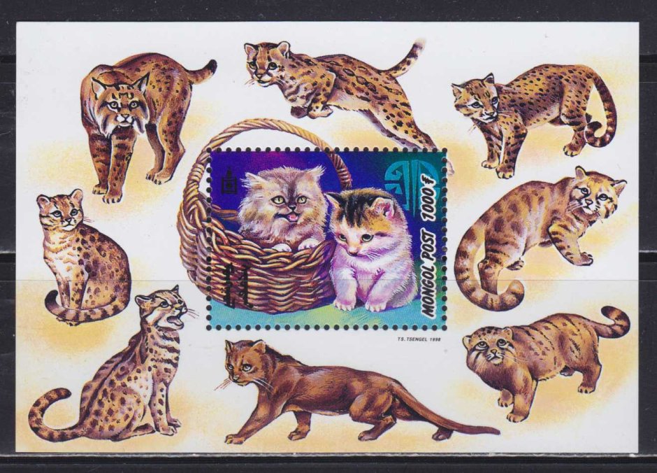 Марки почтовые Монголия кошки
