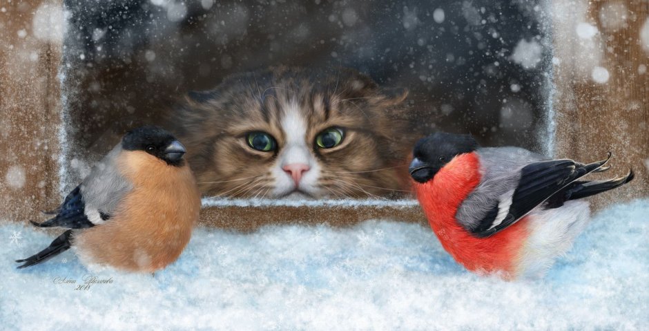 Кот зимой