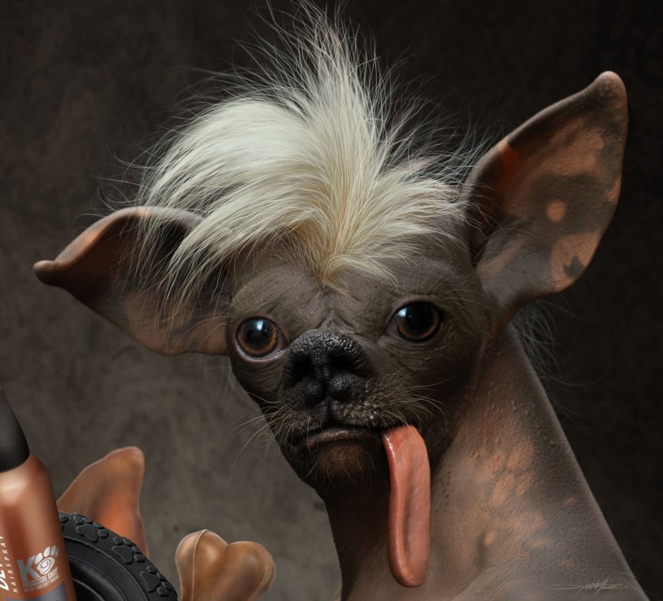 Ксолоитцкуинтли Данте