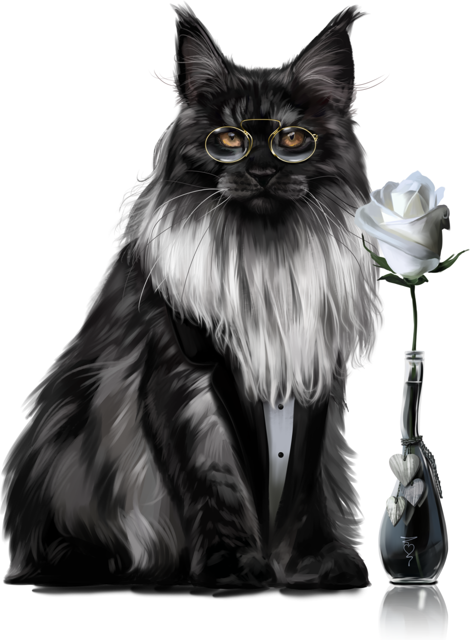 Коты Воители Мейн кун
