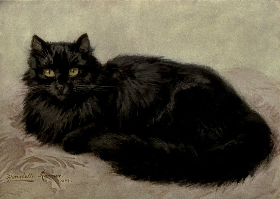 Чёрные коты классическая живопись
