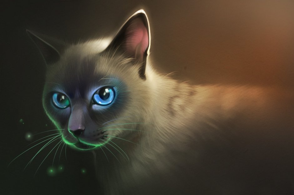 Коты Воители Сиамская кошка