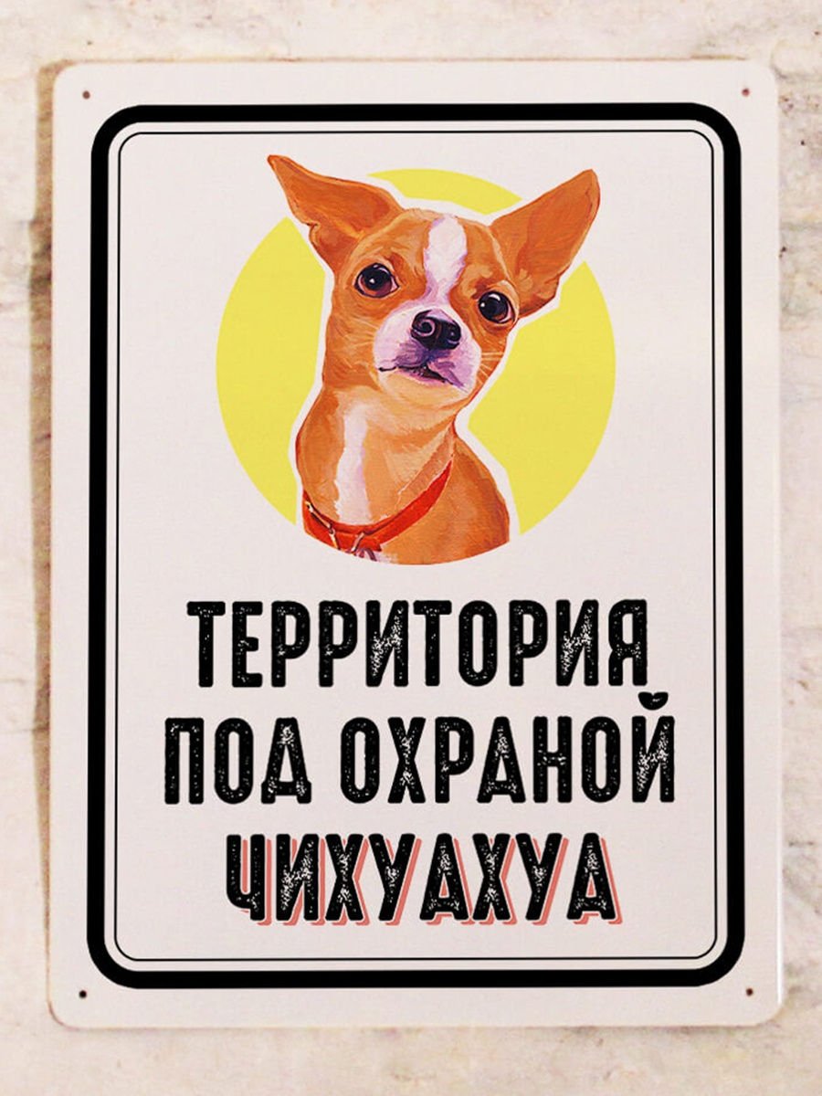 Злая чихуахуа и большая собака