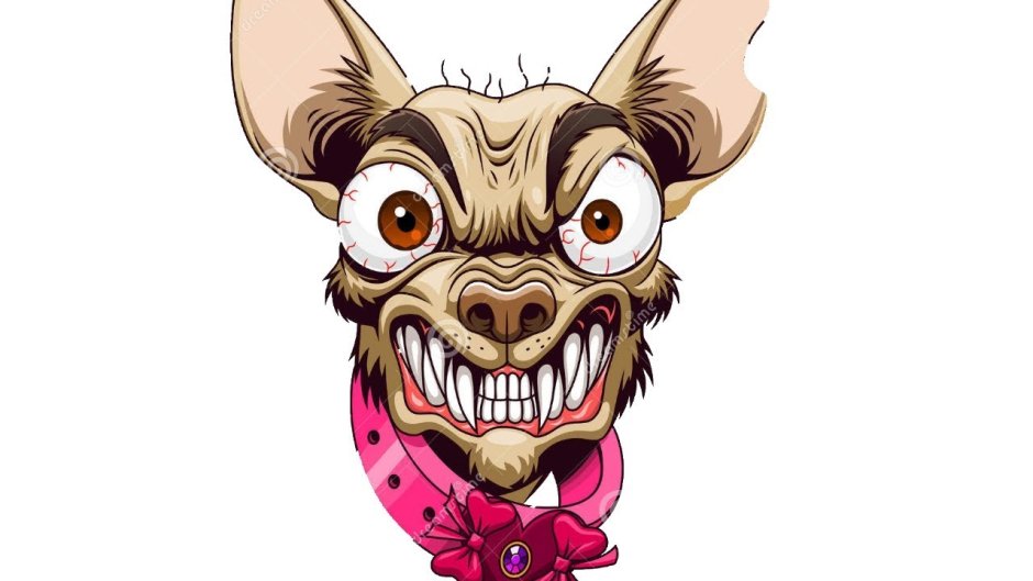 Мультфильм злой чихуахуа