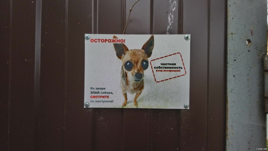 Осторожно злая собака маленькая