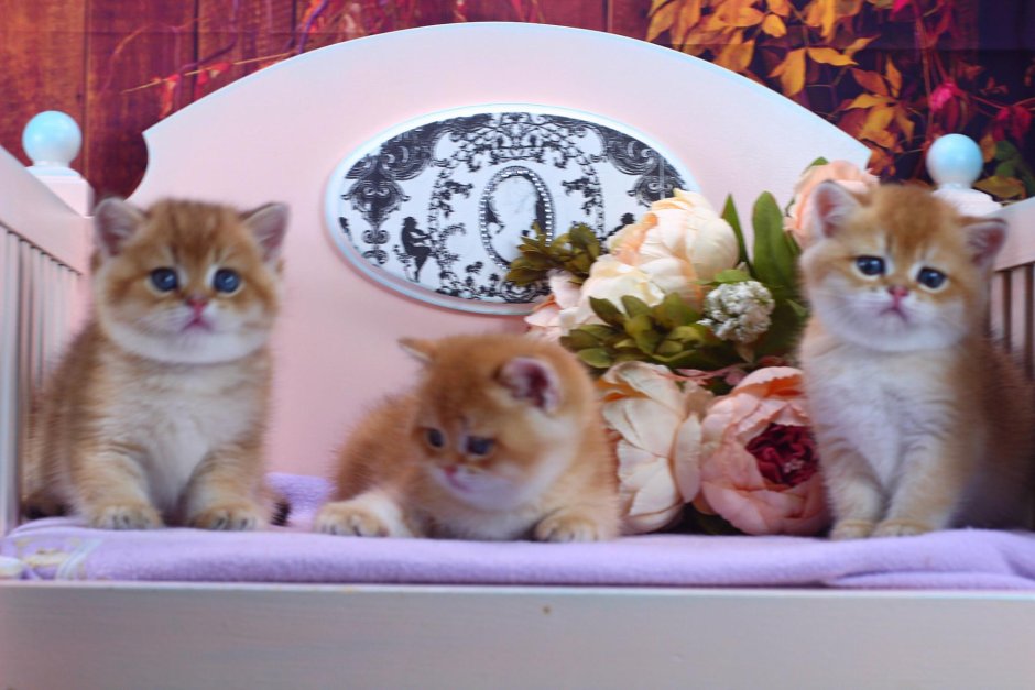 Корейской художницы limduey