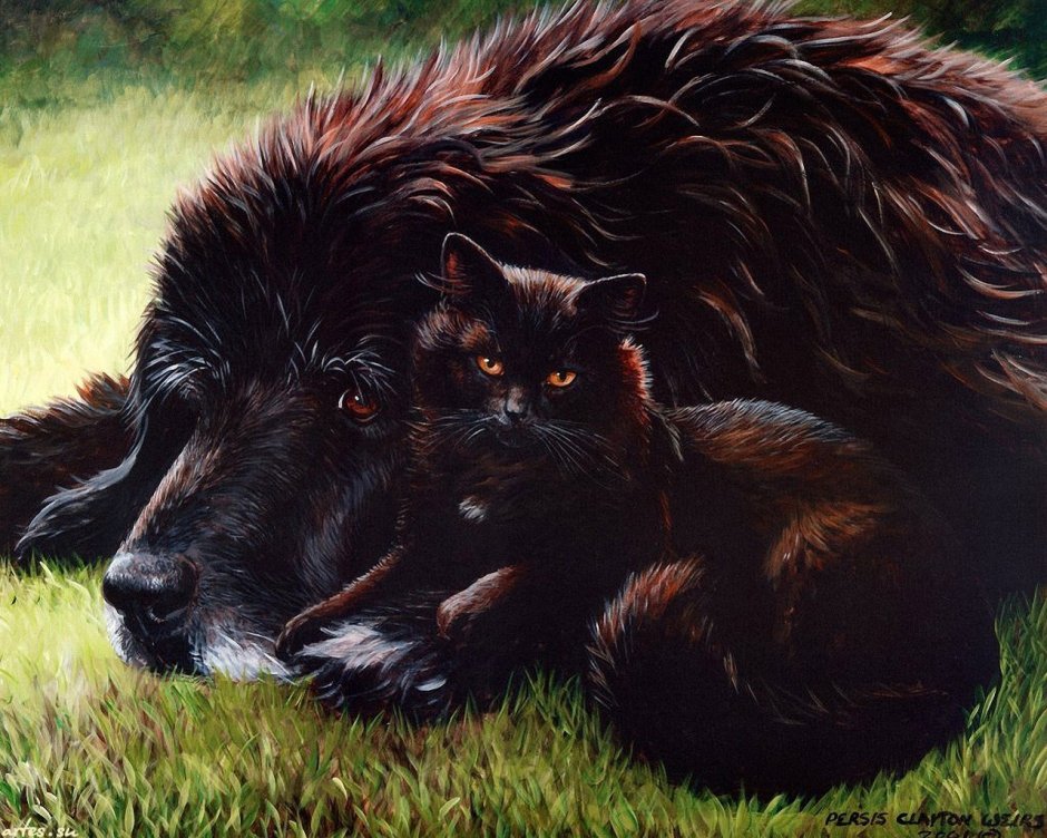 Анималист persis Clayton Weirs