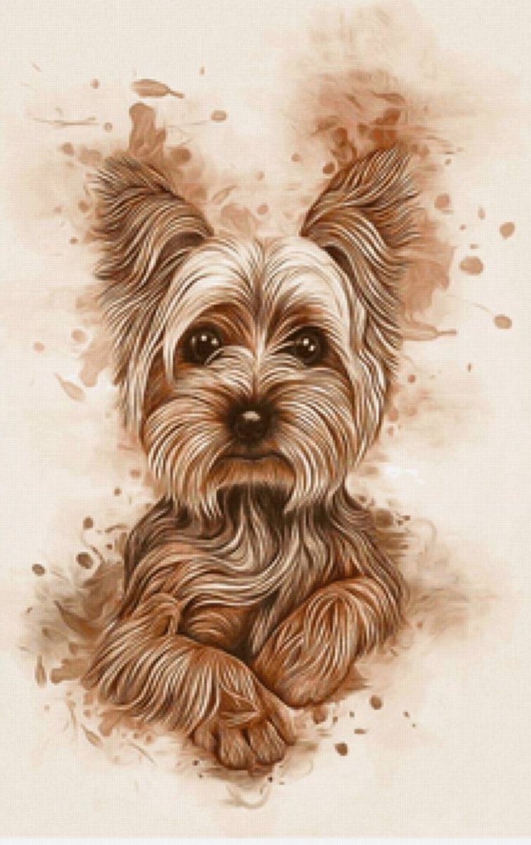 Портрет собаки Йоркширский терьер