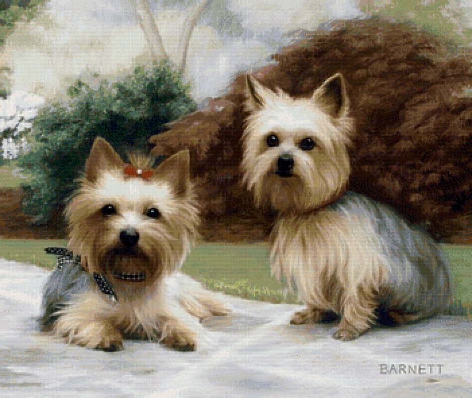 Собачка Йоркшир живопись