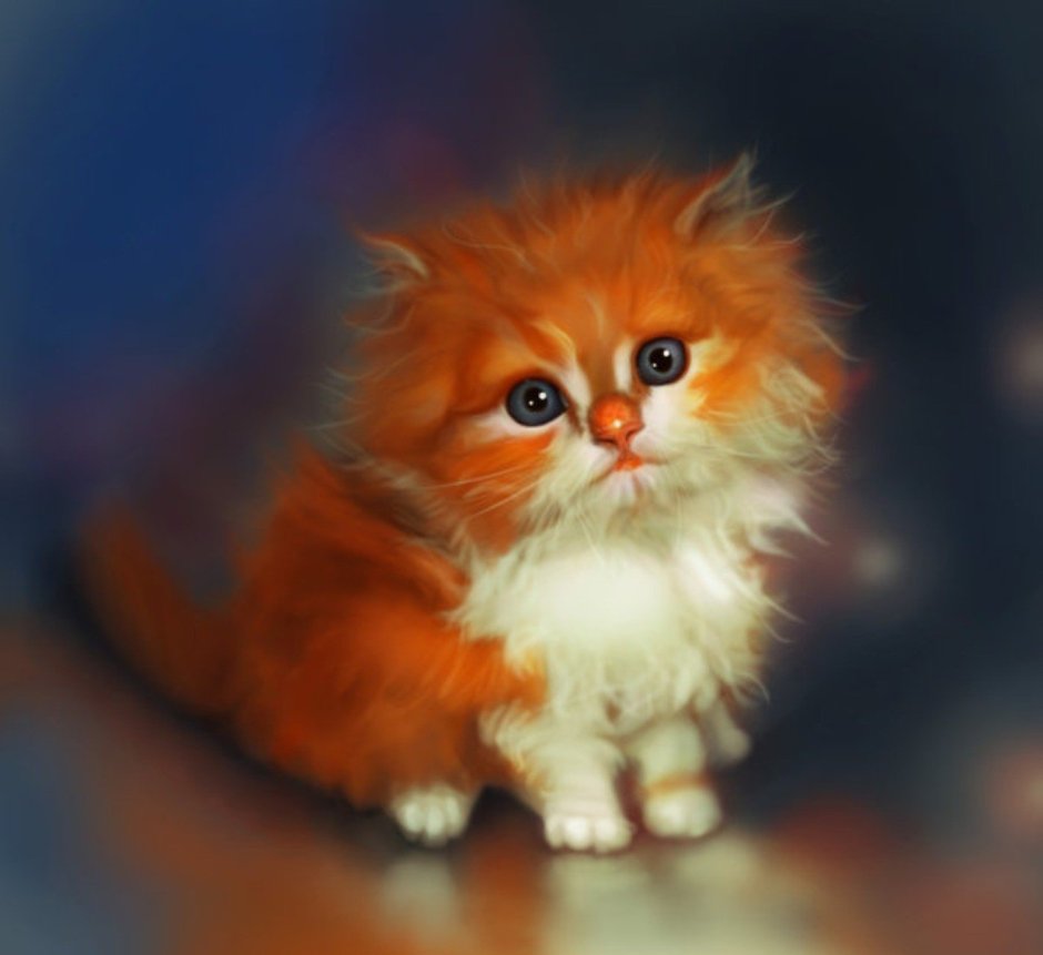 Рыжий котик на коротких