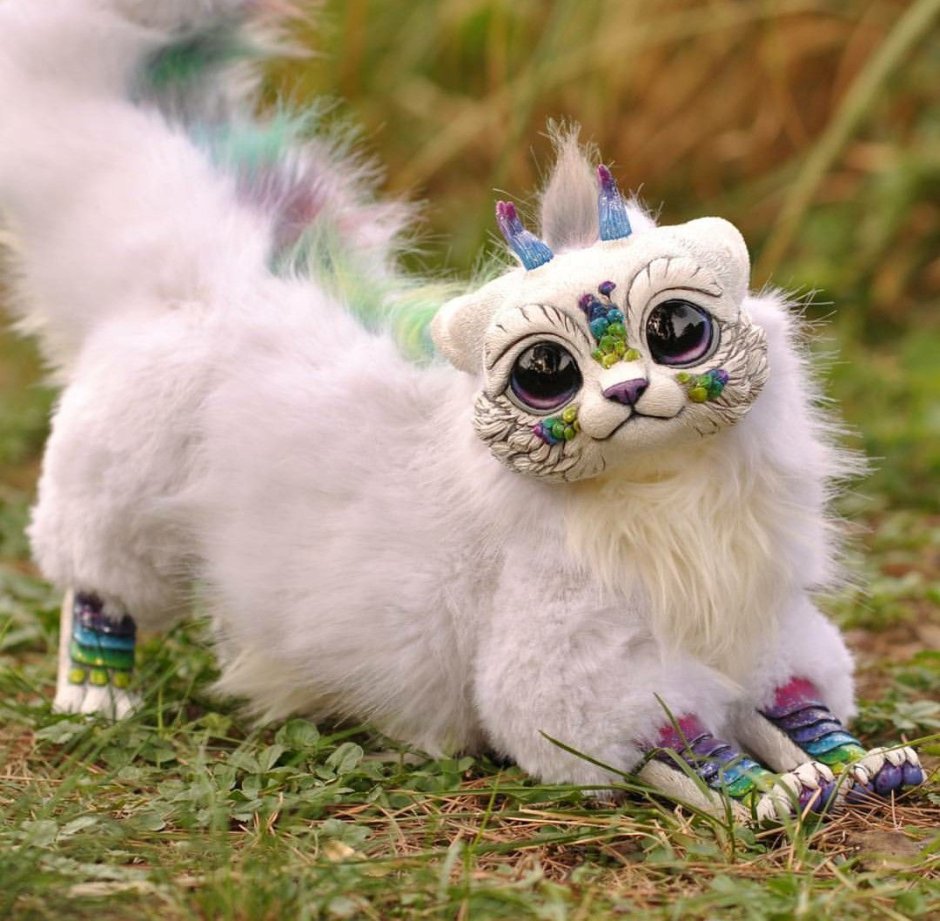 Мексиканский глазоух семейство