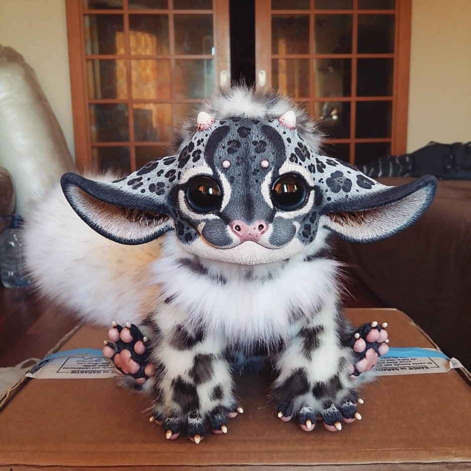 Мадагаскарский глазоух