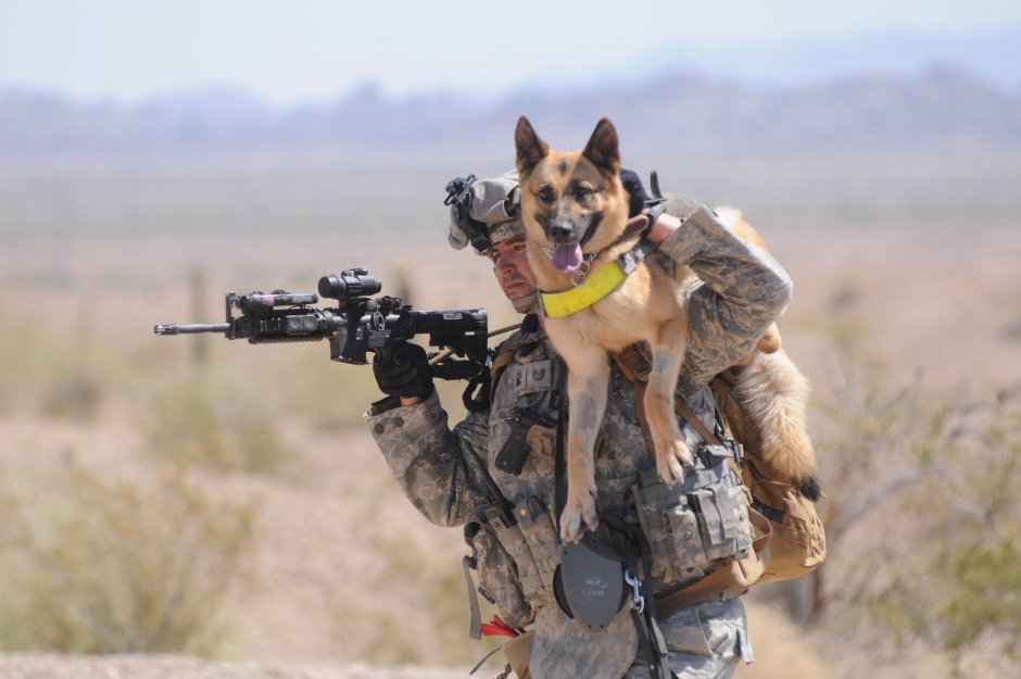 Малинуа Navy Seals