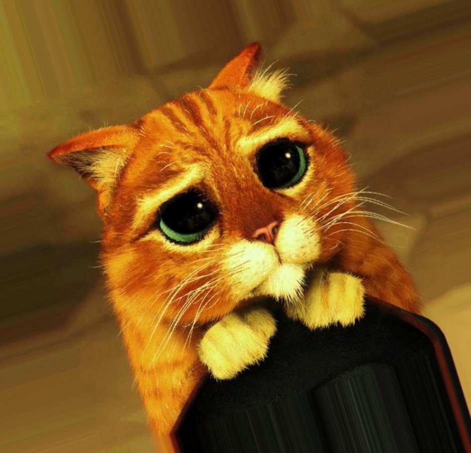 Кот Шрек глаза