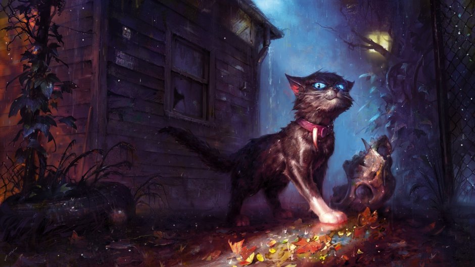 Коты Воители полночь