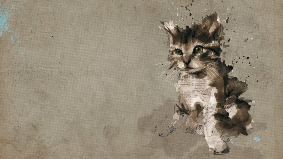 Обои с котиками