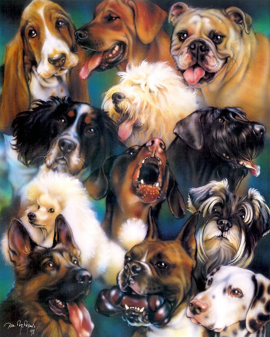 Породы собак коллаж