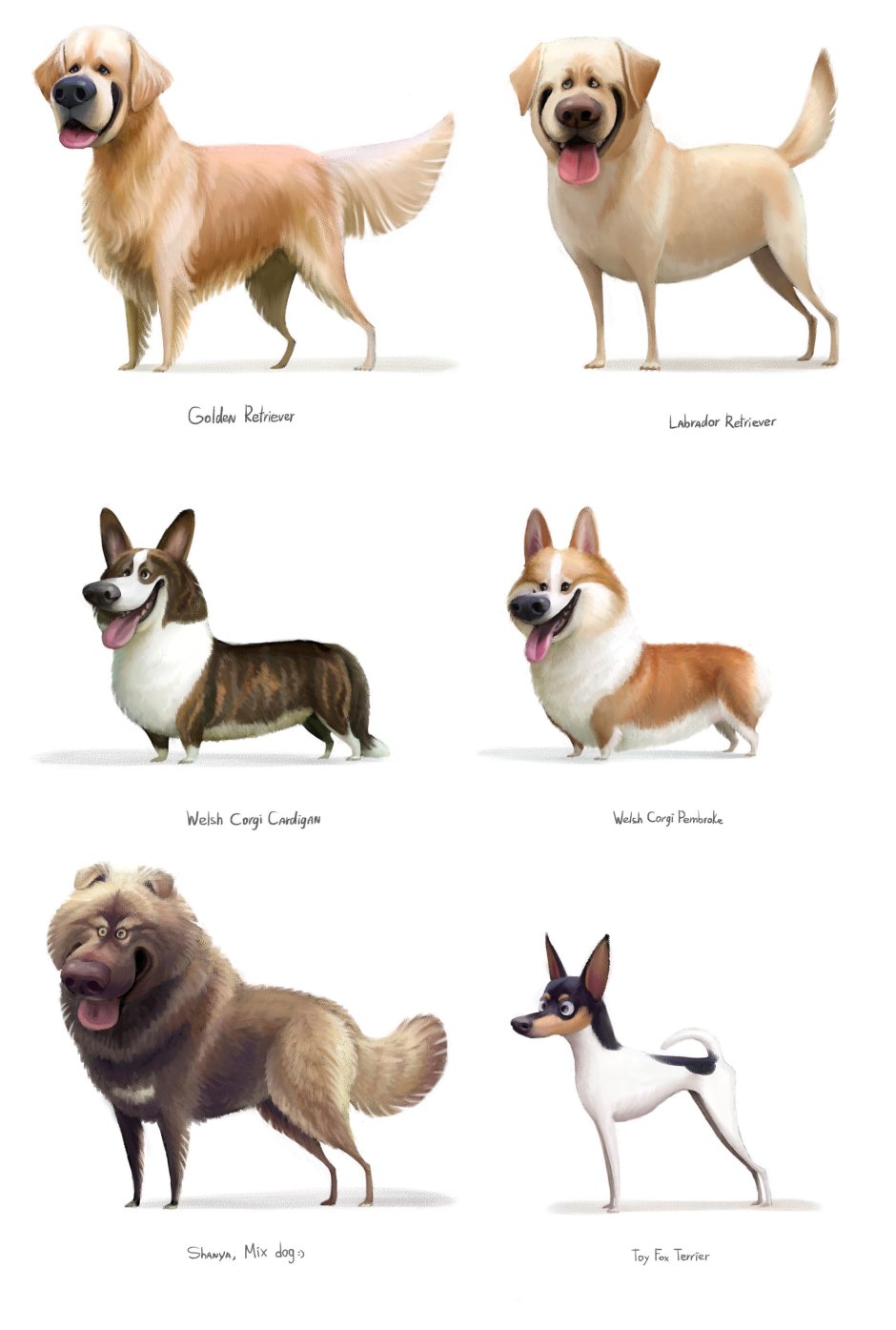 Дизайн породы собак