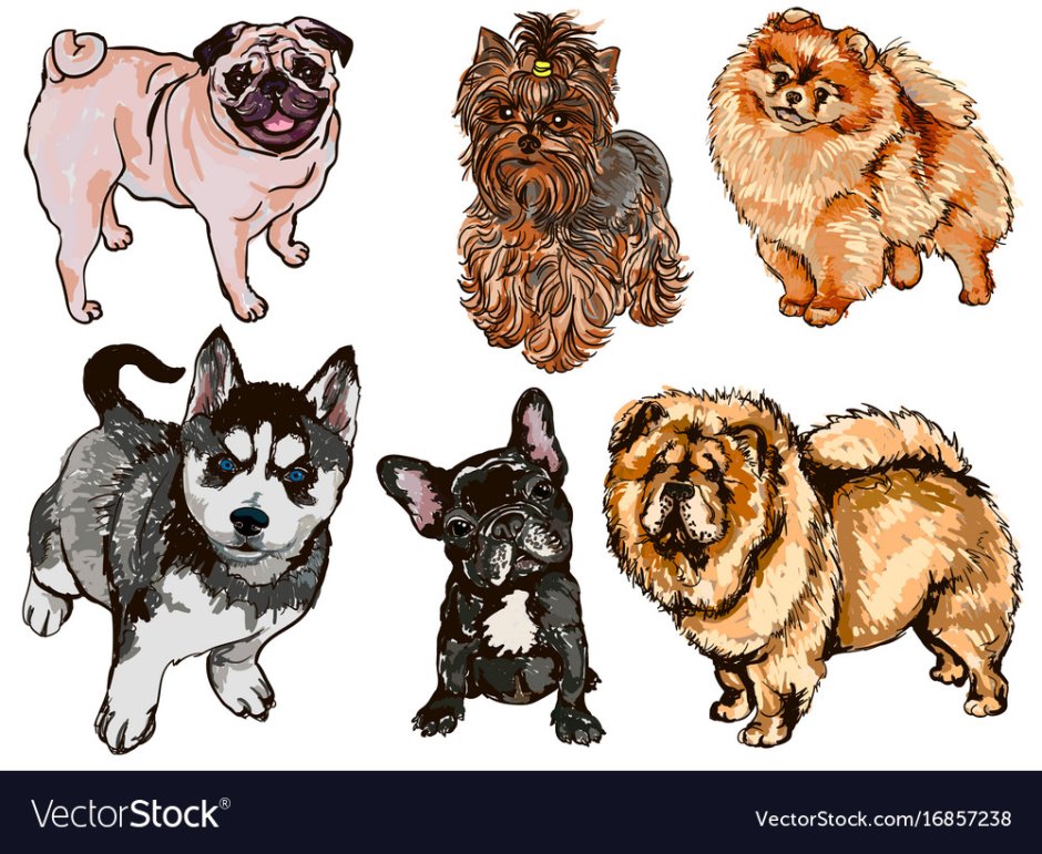 Нарисовать собак разных пород