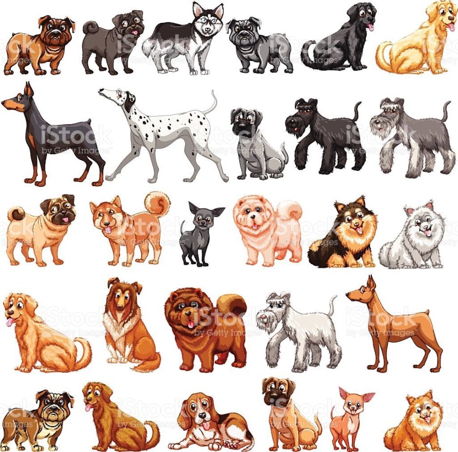 Стикеры породы собак