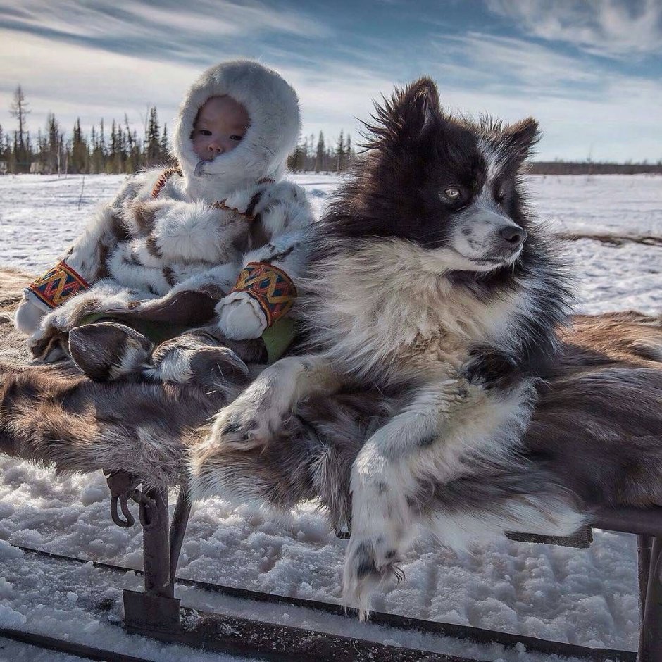Фотограф Сергей Анисимов Ямал