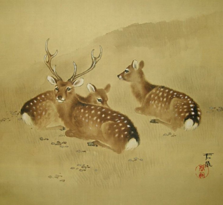 Алтай животные