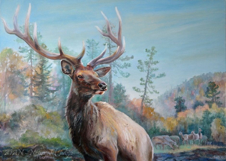 Giulialibard Рысь