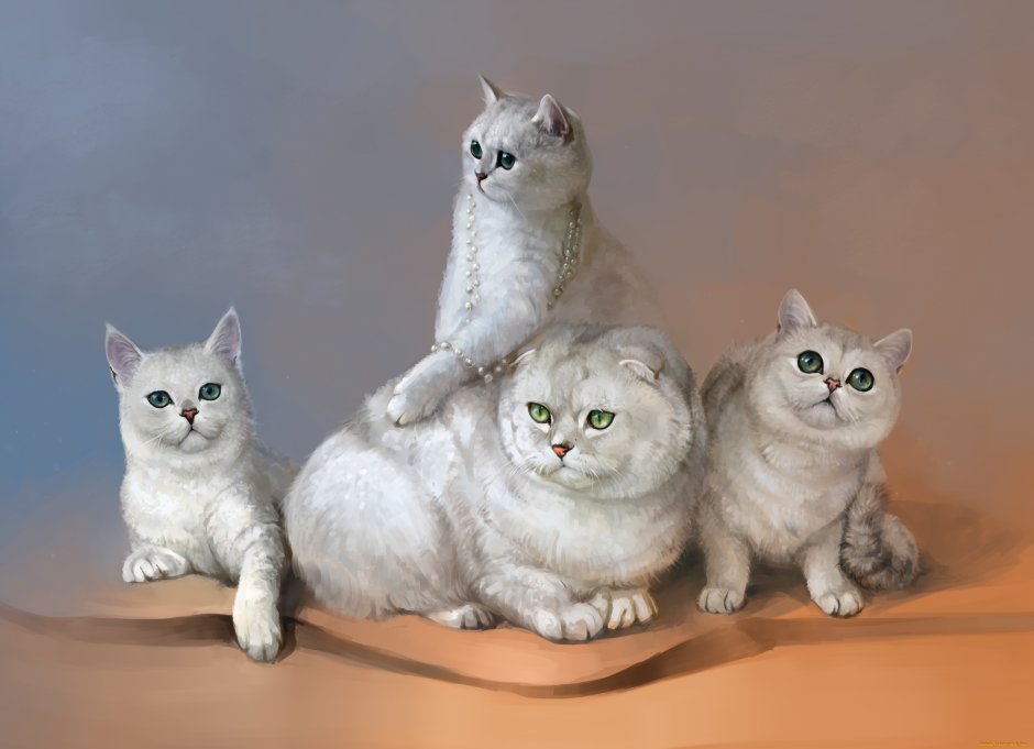 Четыре кота