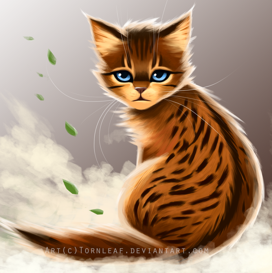 Коты Воители Ветрозвёзд