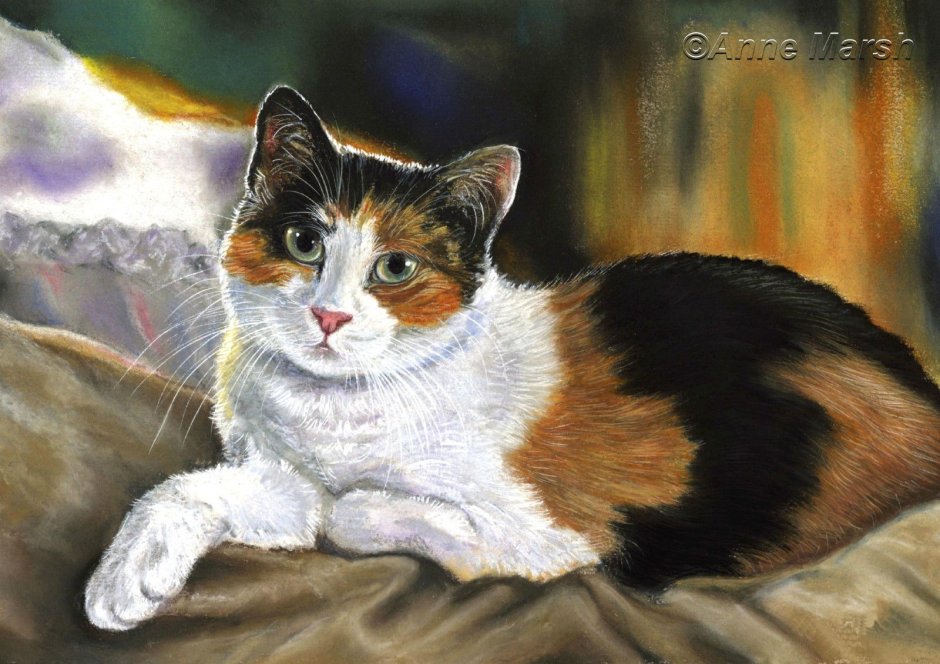 Куки кот
