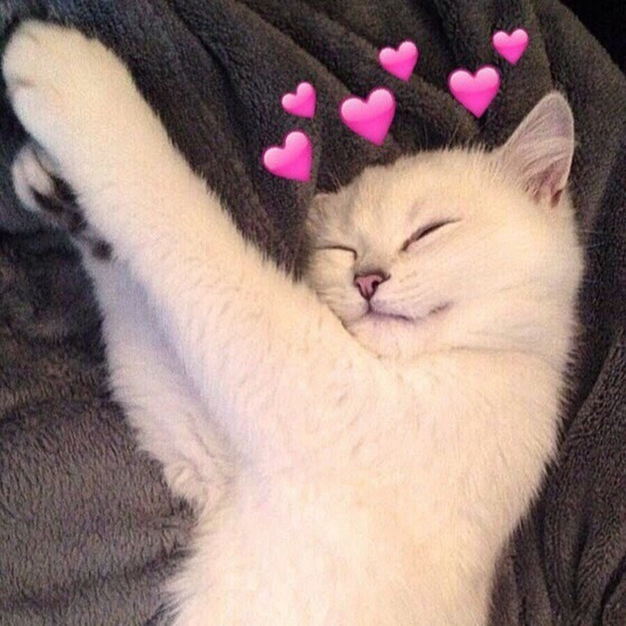 Кошка белая