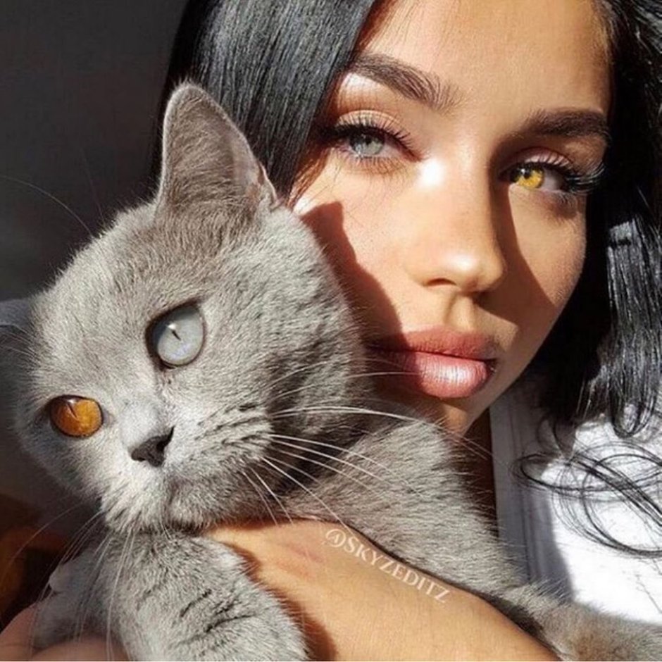 Порода Коби