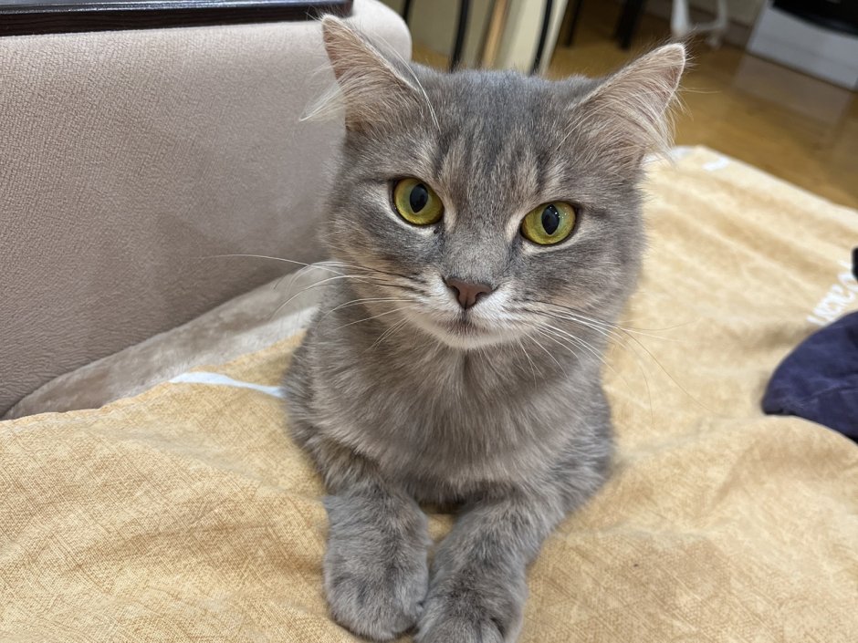 Картинки на заставку черно белые