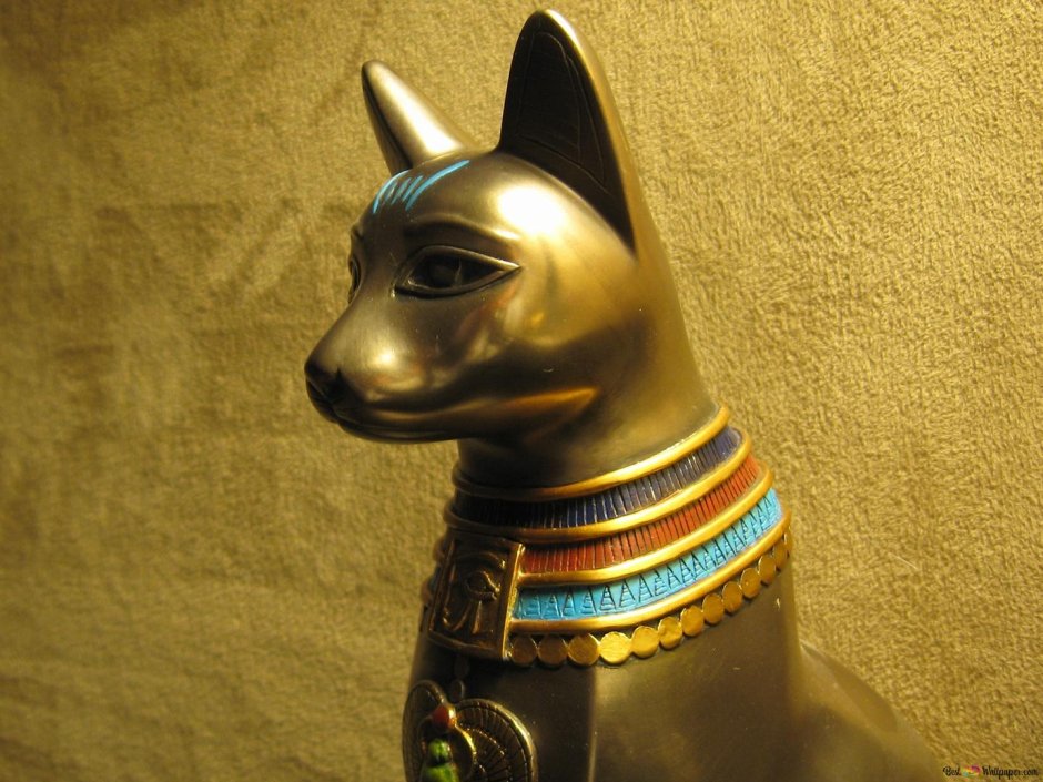 Аханка Египетская кошка