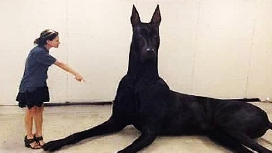 Собака Ирины Мягковой порода