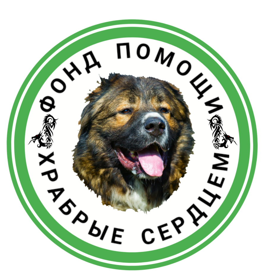 Табличка осторожно злая собака Кавказская овчарка