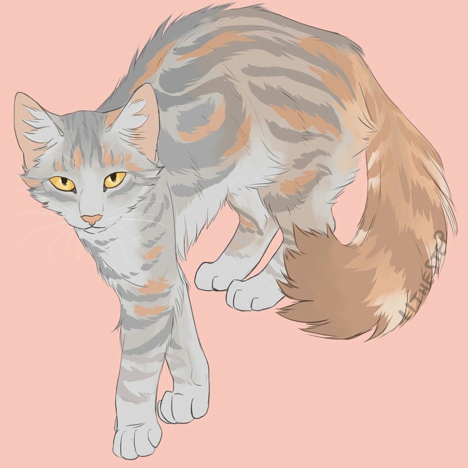Коты Воители арты от graystripe64