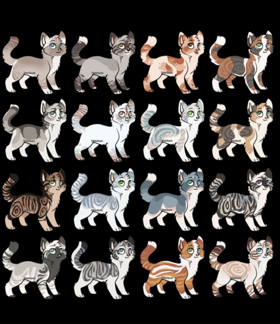 Разные расцветки кошек